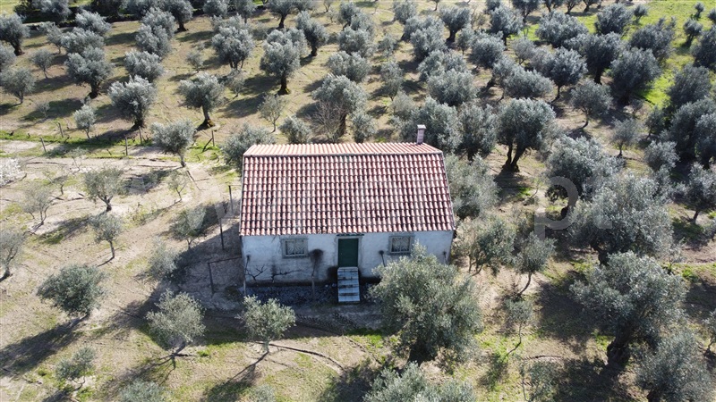 Terreno  Gouveia, Vila Franca da Serra - 1379861 - 7