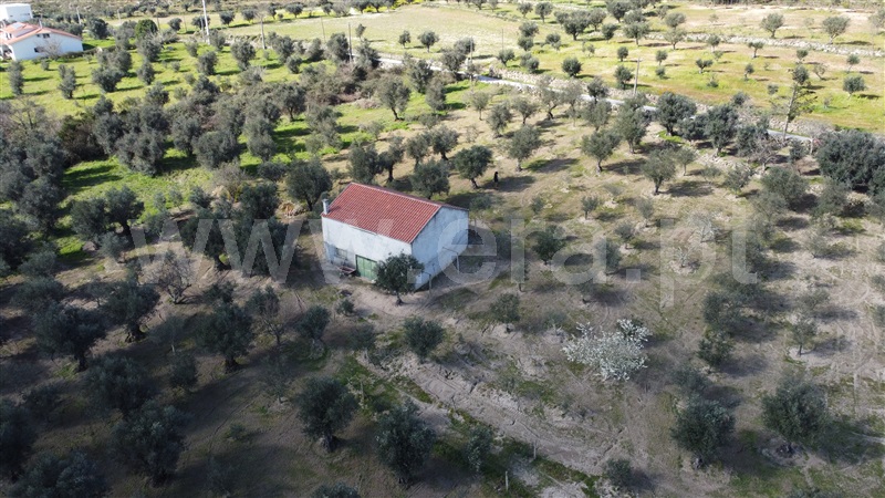 Terreno  Gouveia, Vila Franca da Serra - 1379861 - 9