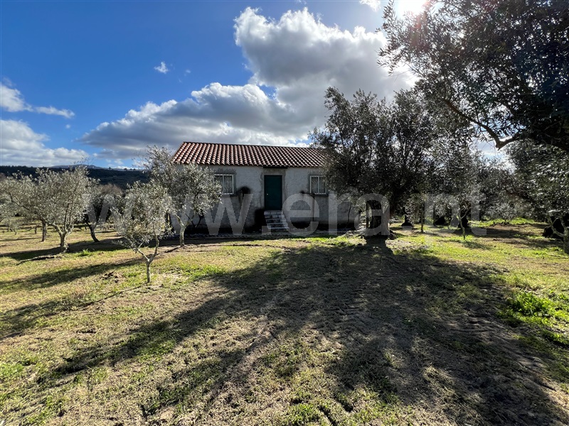 Terreno  Gouveia, Vila Franca da Serra - 1379861 - 10