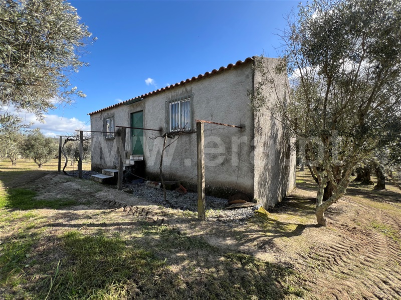Terreno / Gouveia, Vila Franca da Serra
