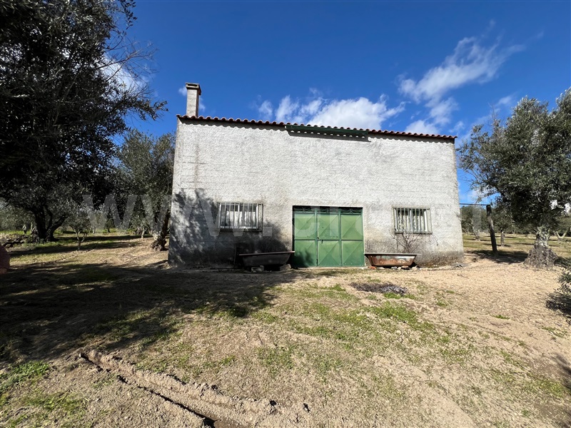 Terreno  Gouveia, Vila Franca da Serra - 1379861 - 14