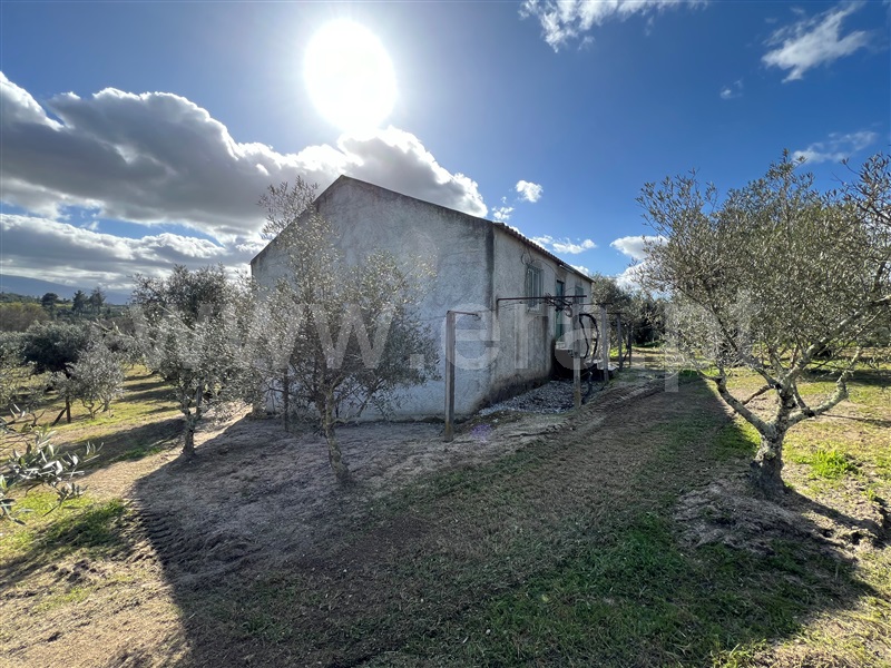 Terreno  Gouveia, Vila Franca da Serra - 1379861 - 20