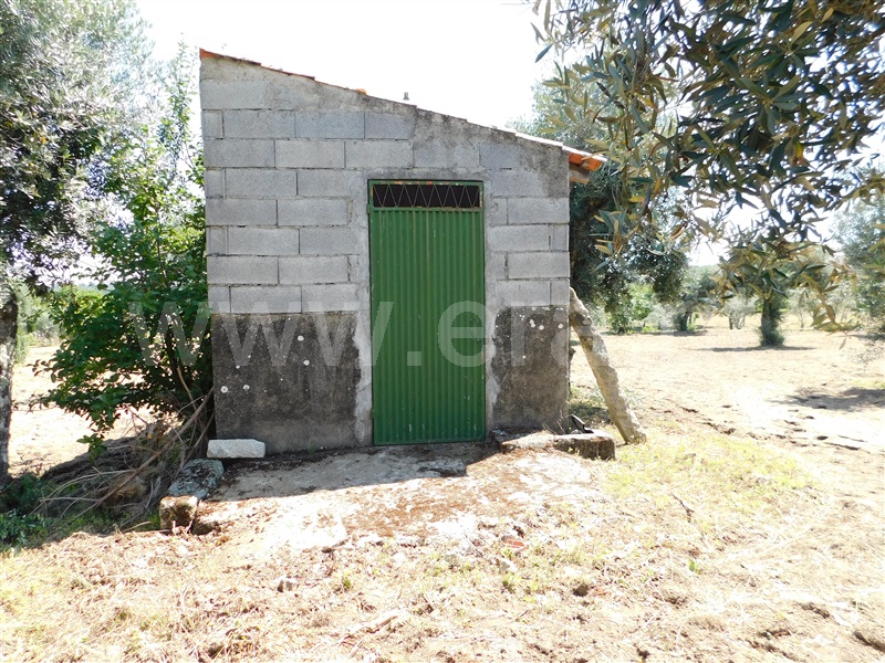 Terreno  Gouveia, Vila Nova de Tazem - 1335005 - 1