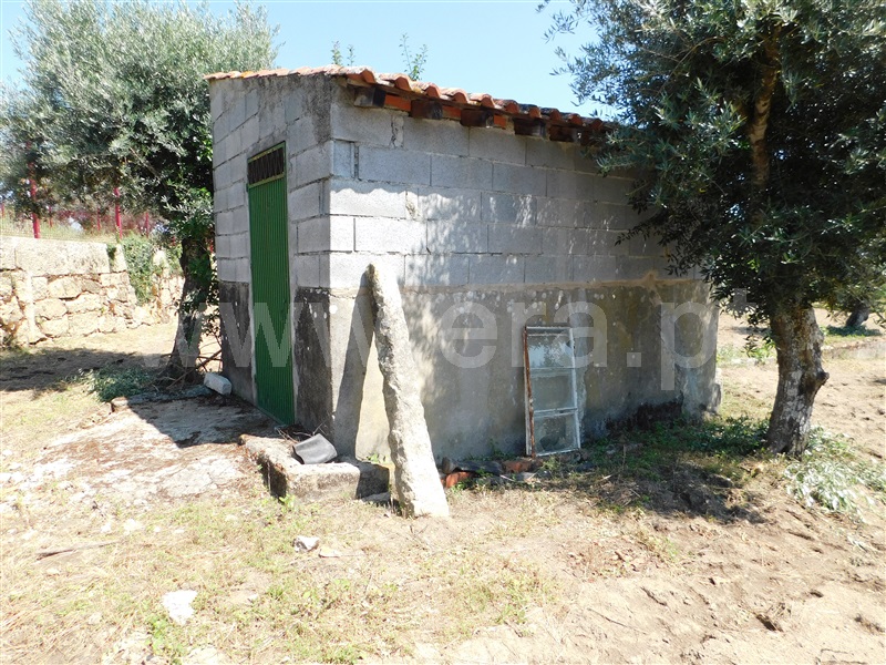 Terreno  Gouveia, Vila Nova de Tazem - 1335005 - 2