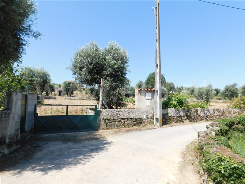 Terreno  Gouveia, Vila Nova de Tazem - 1335005 - 3