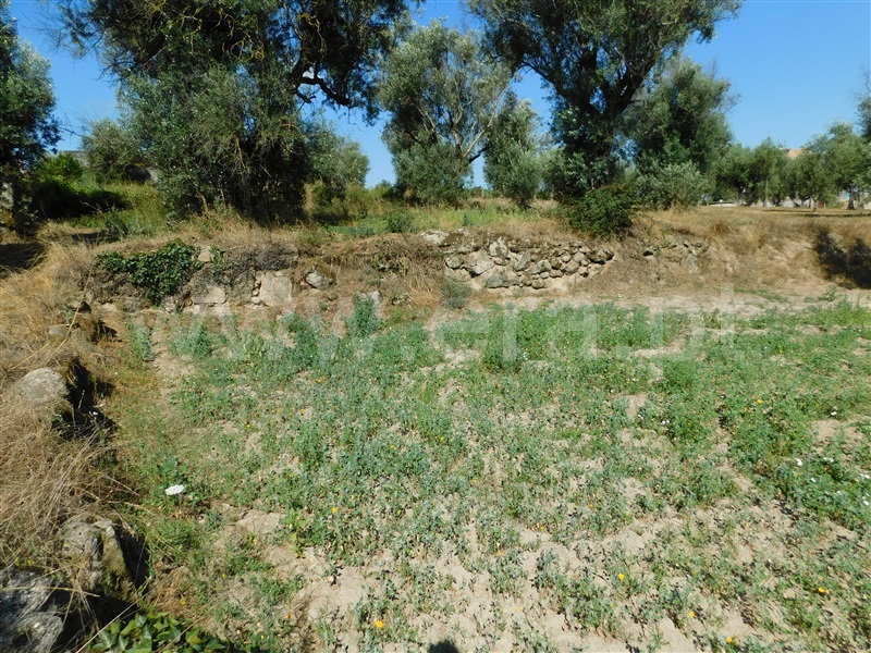 Terreno  Gouveia, Vila Nova de Tazem - 1335005 - 5