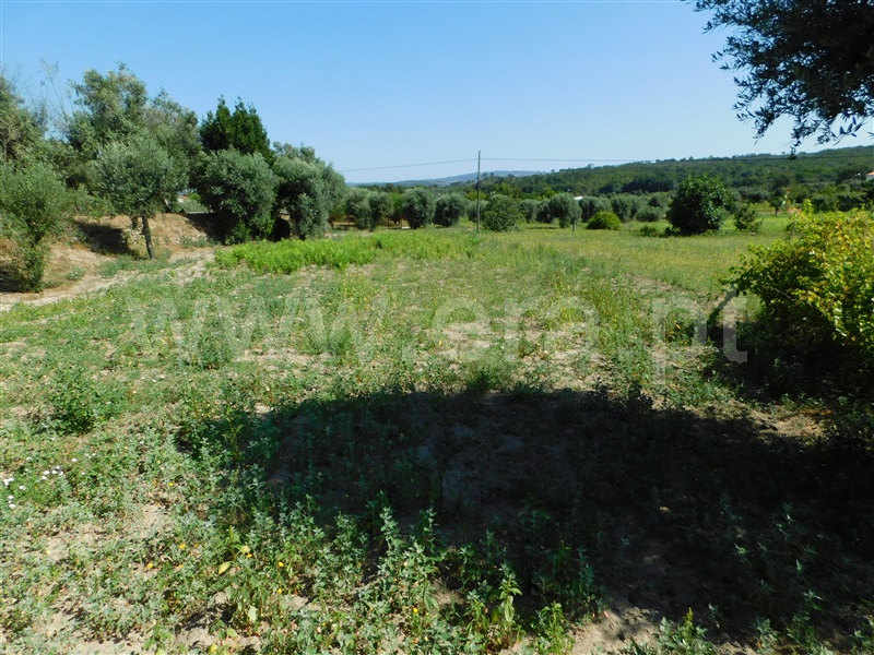 Terreno  Gouveia, Vila Nova de Tazem - 1335005 - 6