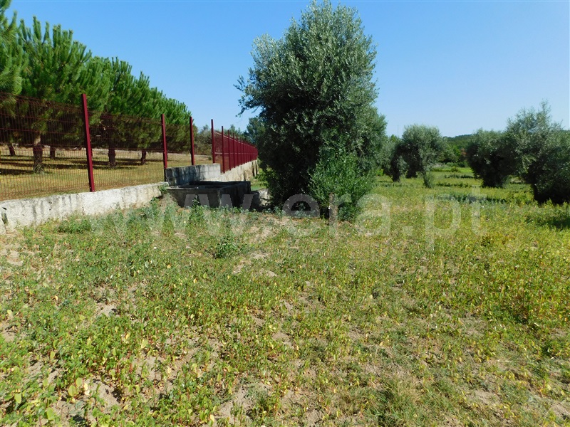 Terreno  Gouveia, Vila Nova de Tazem - 1335005 - 11