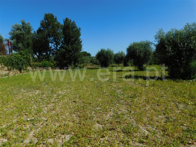 Terreno  Gouveia, Vila Nova de Tazem - 1335005 - 14