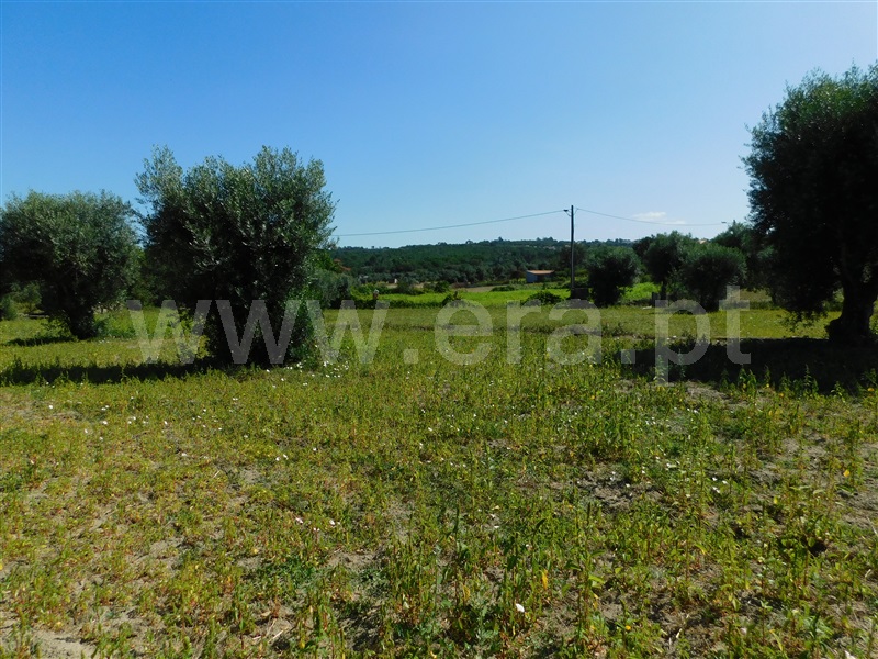 Terreno  Gouveia, Vila Nova de Tazem - 1335005 - 15