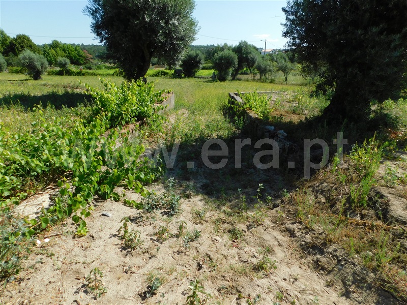 Terreno  Gouveia, Vila Nova de Tazem - 1335005 - 16