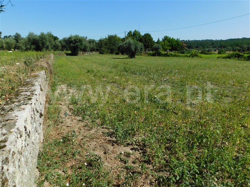 Terreno  Gouveia, Vila Nova de Tazem - 1335005 - 18
