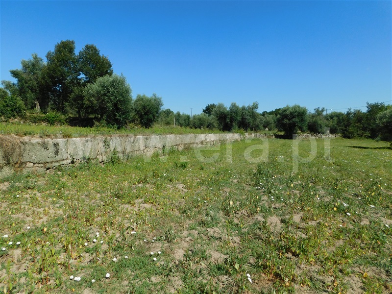 Terreno  Gouveia, Vila Nova de Tazem - 1335005 - 19