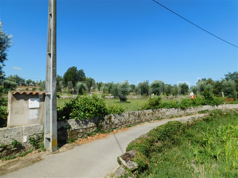 Terreno  Gouveia, Vila Nova de Tazem - 1335005 - 20