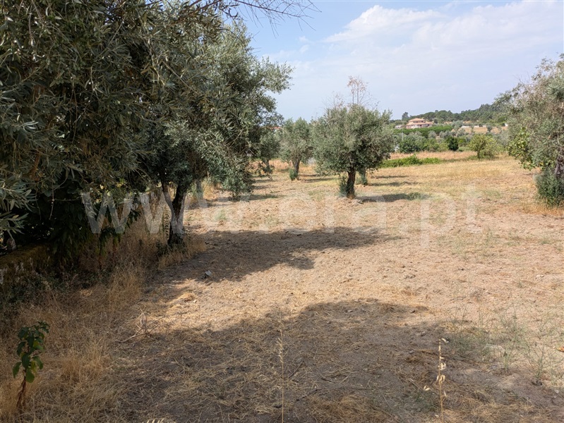 Terreno  Gouveia, Vila Nova de Tazem - 1502592 - 2