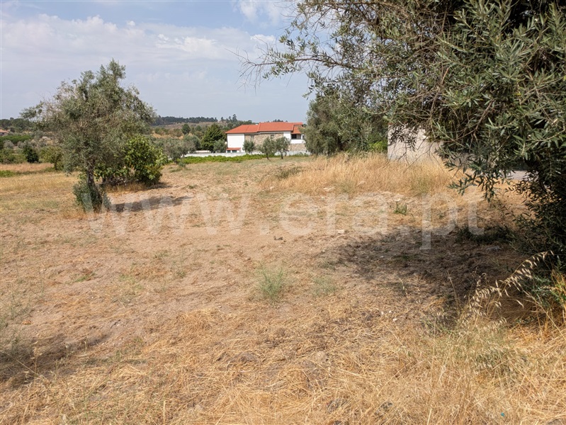 Terreno  Gouveia, Vila Nova de Tazem - 1502592 - 3