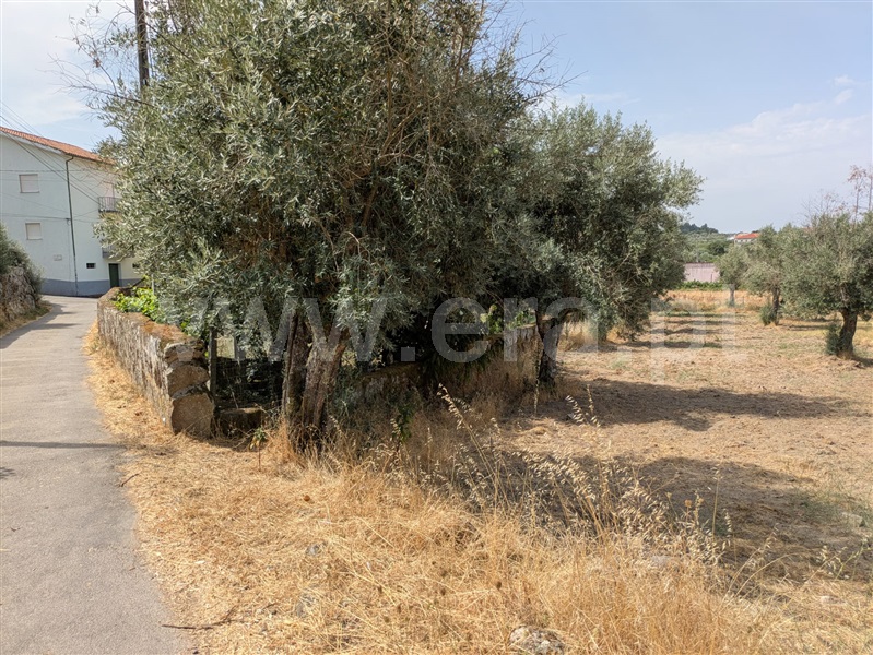 Terreno  Gouveia, Vila Nova de Tazem - 1502592 - 4