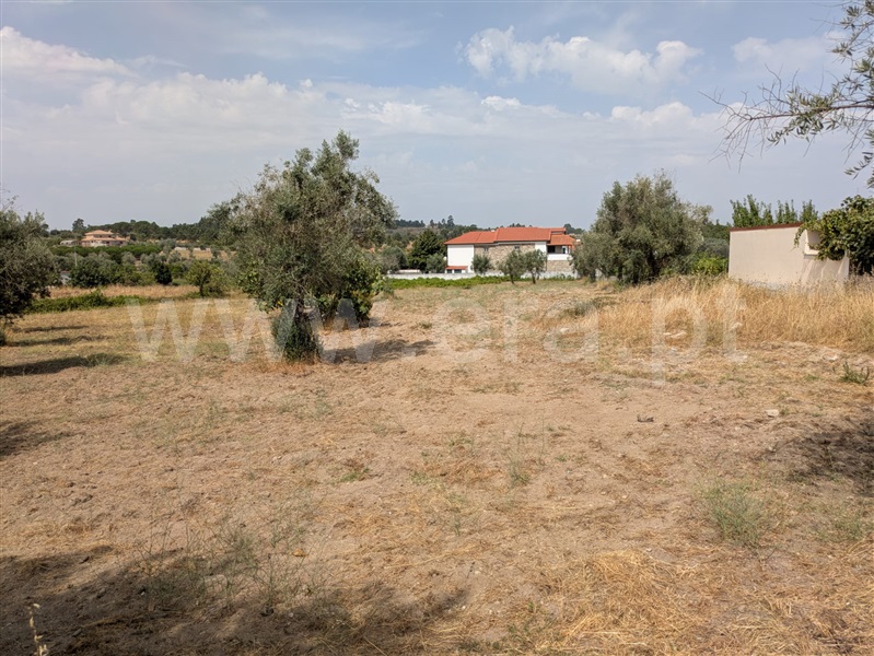 Terreno  Gouveia, Vila Nova de Tazem - 1502592 - 5