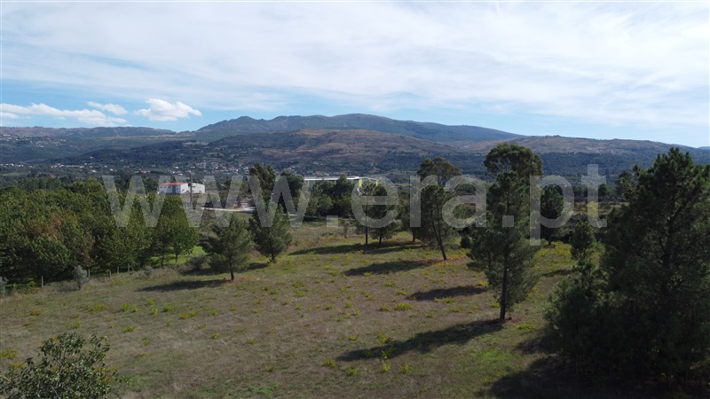Terreno  Gouveia, Melo e Nabais - 1356996 - 3