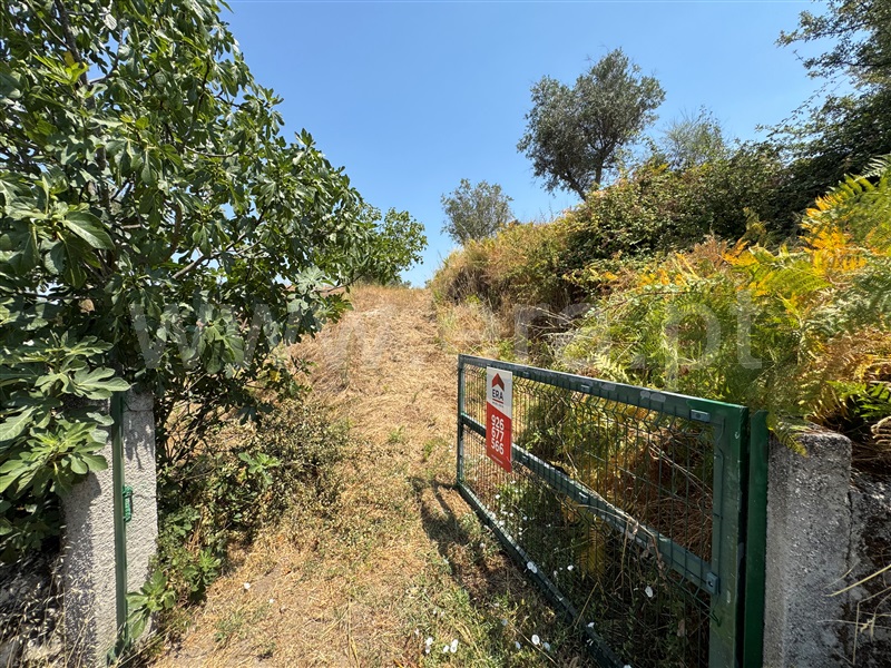 Terreno / Gouveia