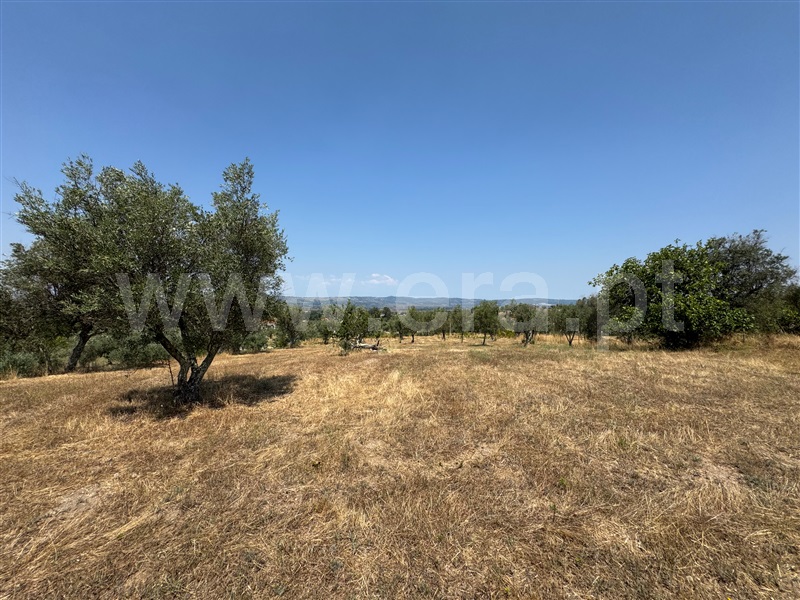 Terreno  Gouveia, Melo e Nabais - 1484240 - 6