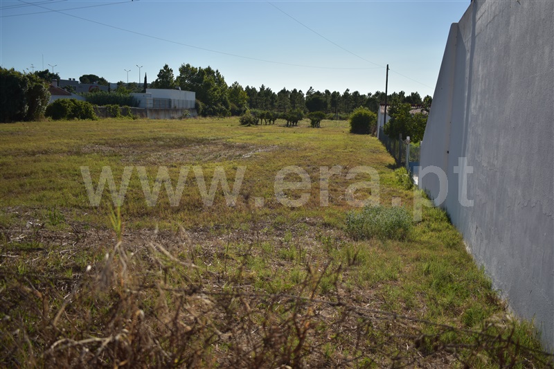 Terreno / Grândola, Grândola e Santa Margarida da Serra