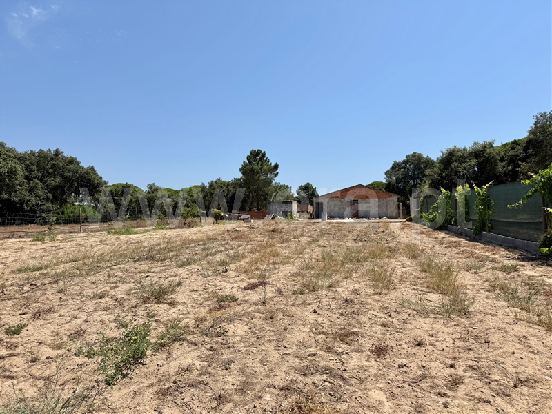 Terreno / Grândola, Melides