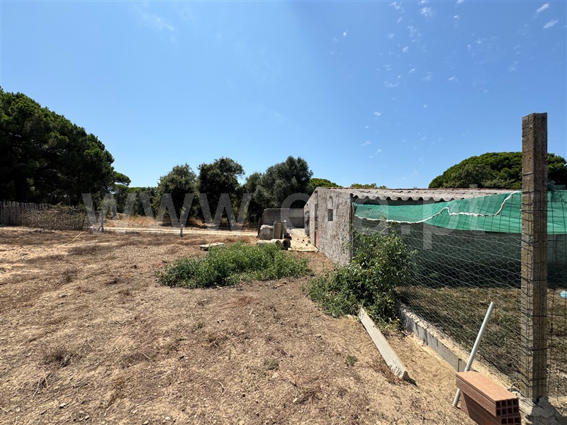 Terreno  Grândola, Melides - 1498158 - 12