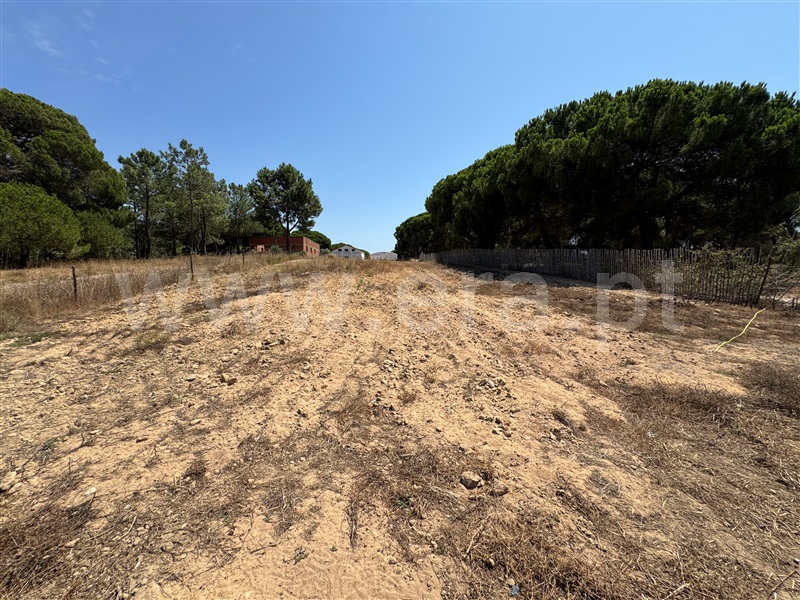 Terreno  Grândola, Melides - 1498158 - 14