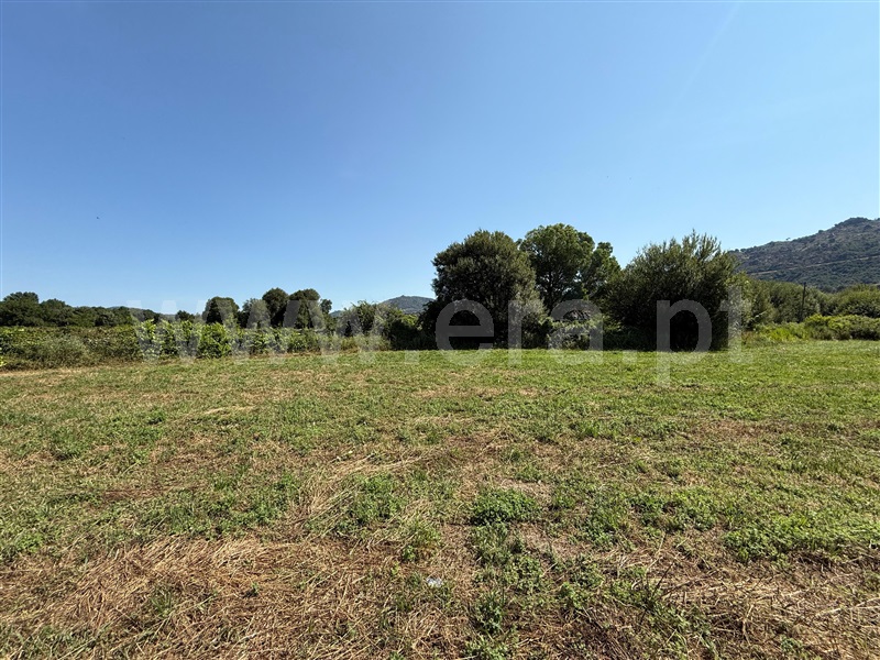 Terreno  Guarda, A 15 minutos da Guarda - 1494409 - 2