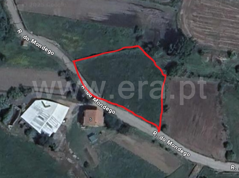 Terreno  Guarda, A 15 minutos da Guarda - 1494409 - 3