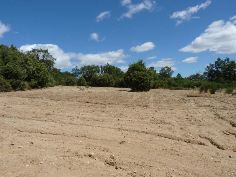 Terreno / Guarda, Adão, Guarda