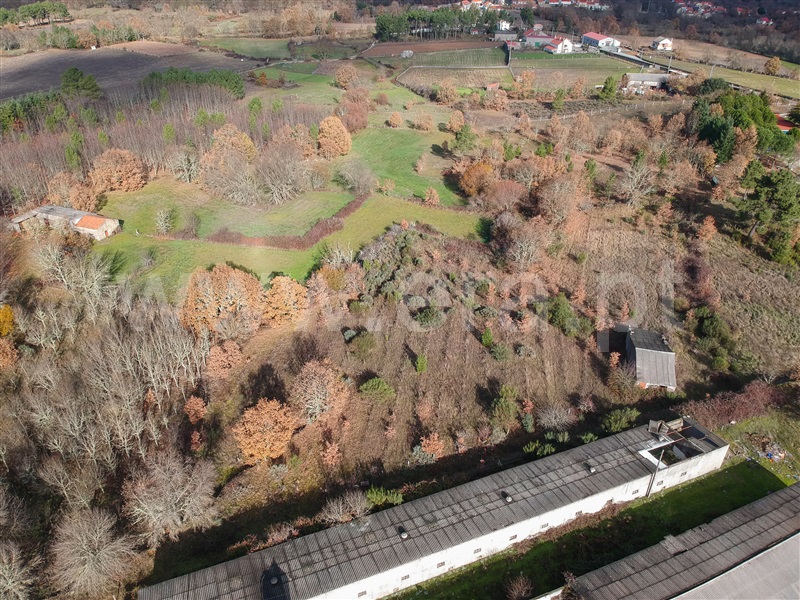 Azenha / Guarda, Marmeleiro