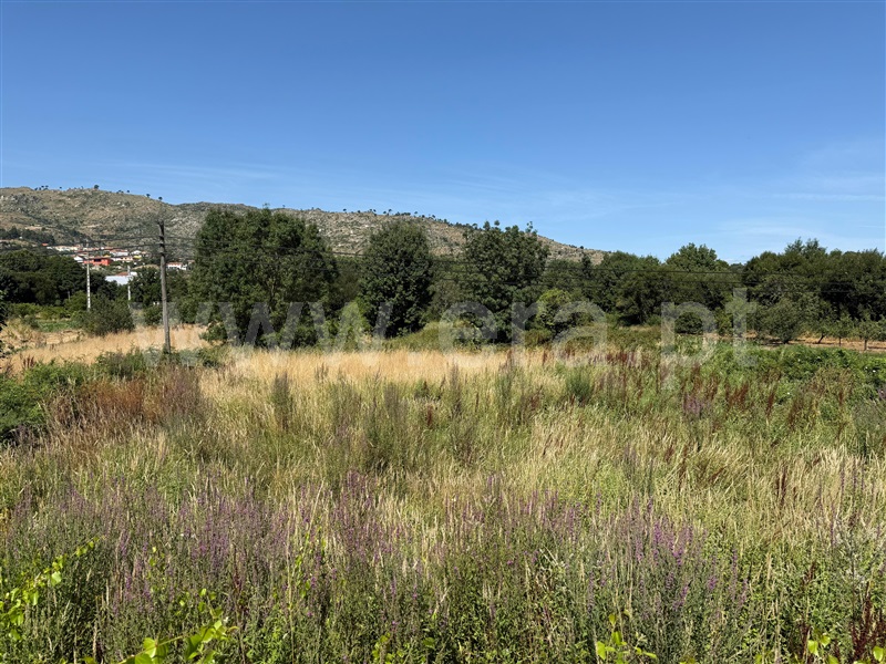 Terreno / Guarda, Porto da Carne