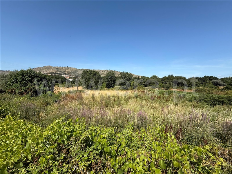Terreno  Guarda, Porto da Carne - 1494400 - 2