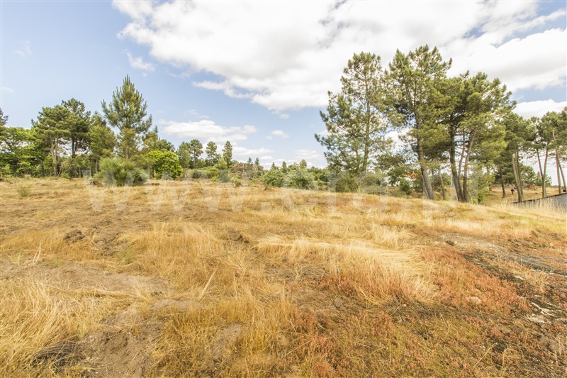 Terreno / Guarda, Verdugal