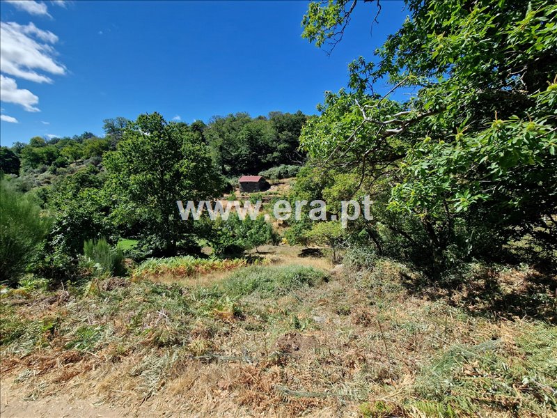Terreno / Guarda, Videmonte,Guarda