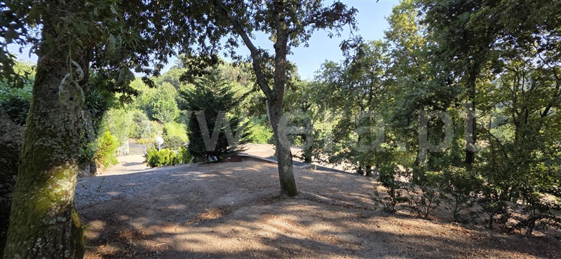 Terreno / Guimarães, Abação e Gémeos