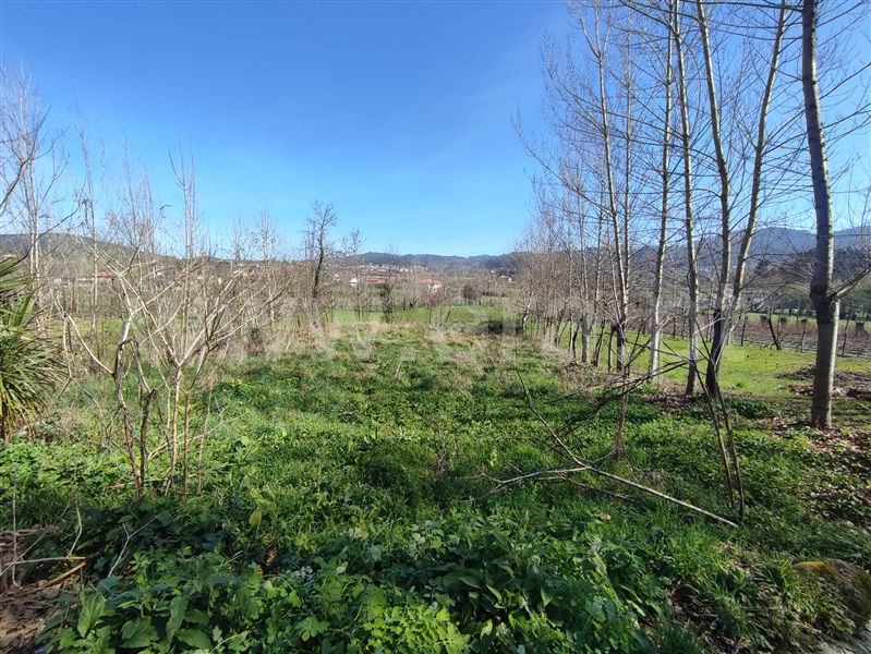 Terreno / Guimarães, Aldão