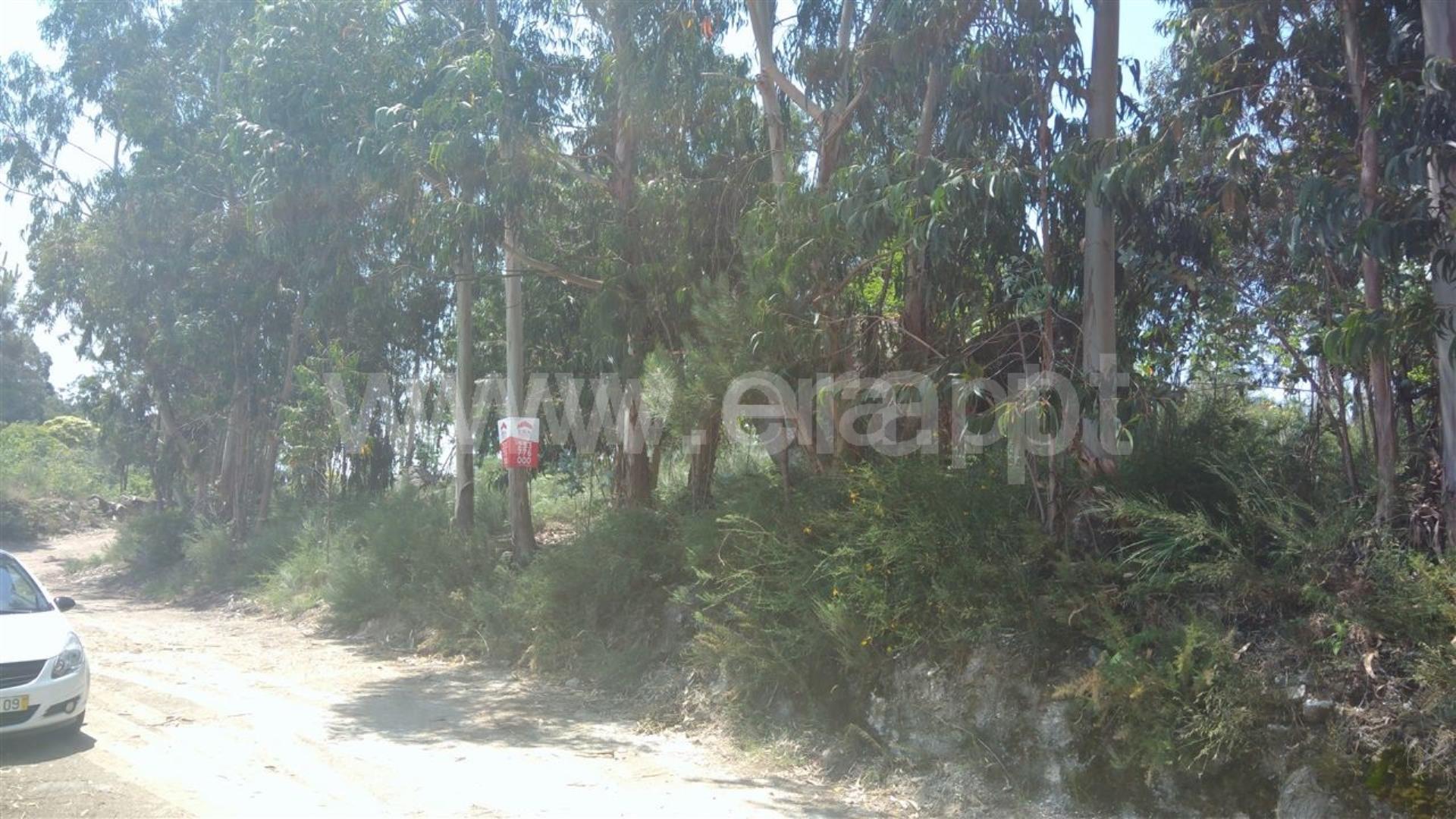 Land for sale in Guimarães, Portugal — €76,150