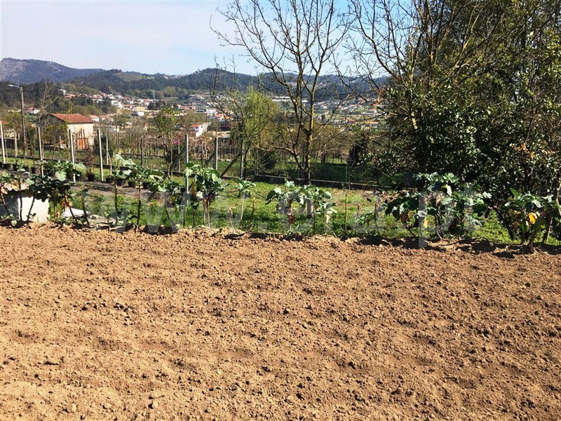 Terreno / Guimarães, Barco