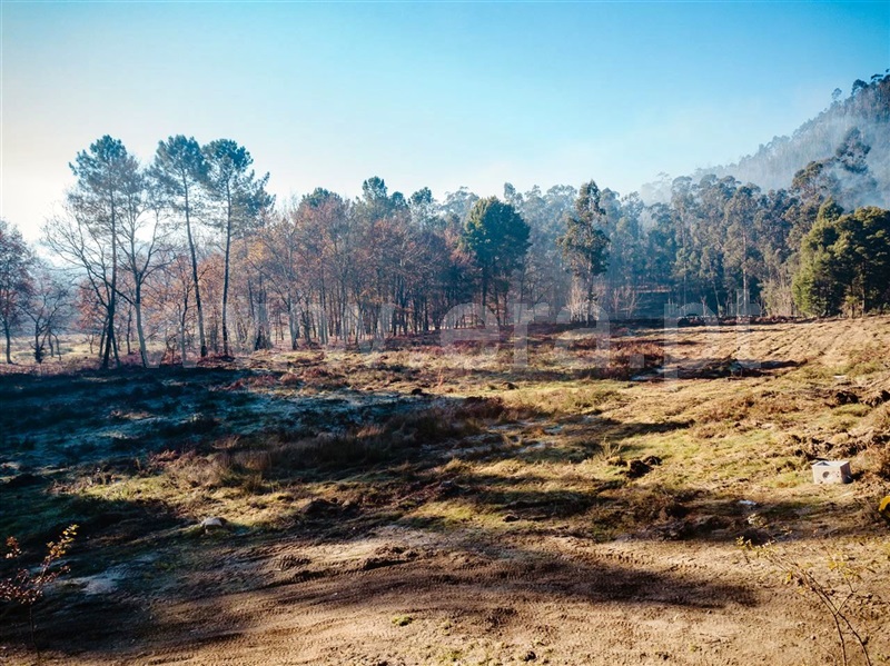 Terreno / Guimarães, Briteiros Santo Estêvão e Donim