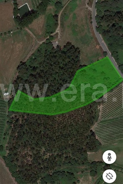 Terreno / Guimarães, Conde e Gandarela