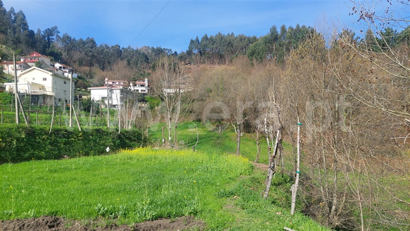 Terreno / Guimarães, Infantas