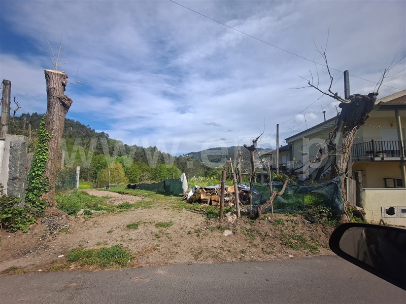 Terreno / Guimarães, Infantas