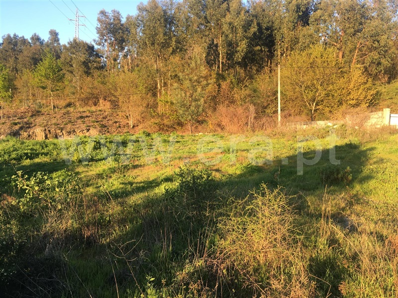 Terreno / Guimarães, Prazins Santo Tirso e Corvite