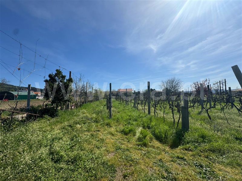 Terreno / Guimarães, Sande São Lourenço e Balazar