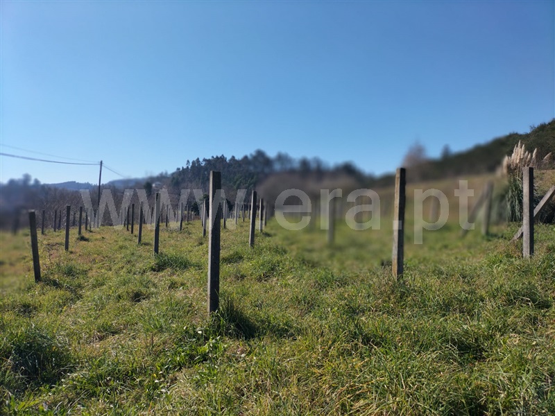 Terreno / Guimarães, Serzedo e Calvos