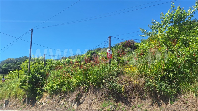 Terreno / Guimarães, Tabuadelo e São Faustino