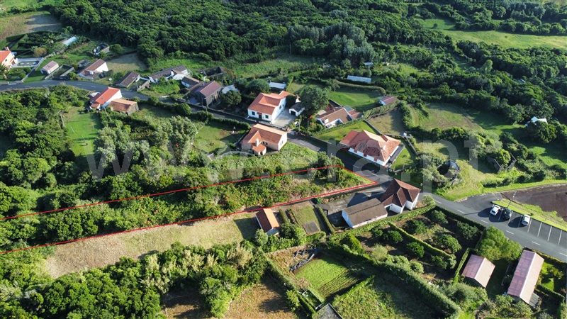 Terreno / Horta, Capelo